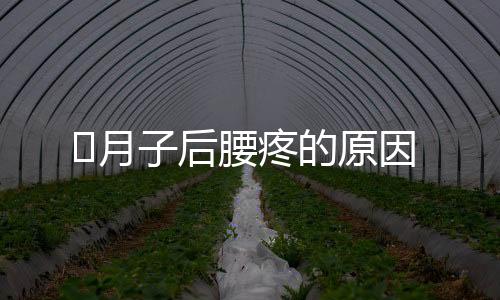 ​月子后腰疼的原因