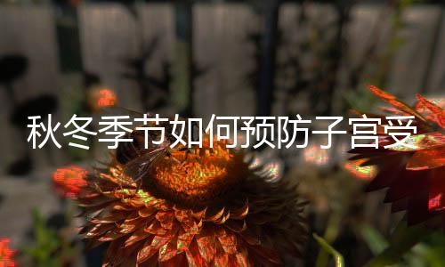 秋冬季节如何预防子宫受寒？