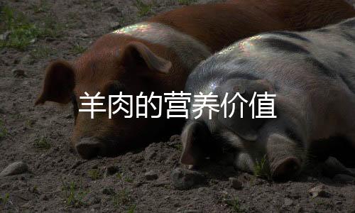 羊肉的营养价值