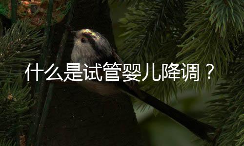 什么是试管婴儿降调？