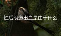 性后阴道出血是由于什么原因引起的