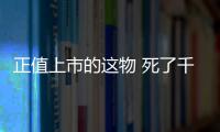 正值上市的这物 死了千万别吃