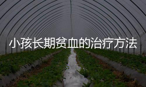 小孩长期贫血的治疗方法