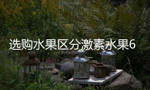 选购水果区分激素水果6妙招 其貌不扬的水果让人更放心