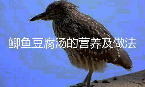 鲫鱼豆腐汤的营养及做法