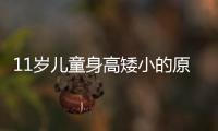 11岁儿童身高矮小的原因是什么